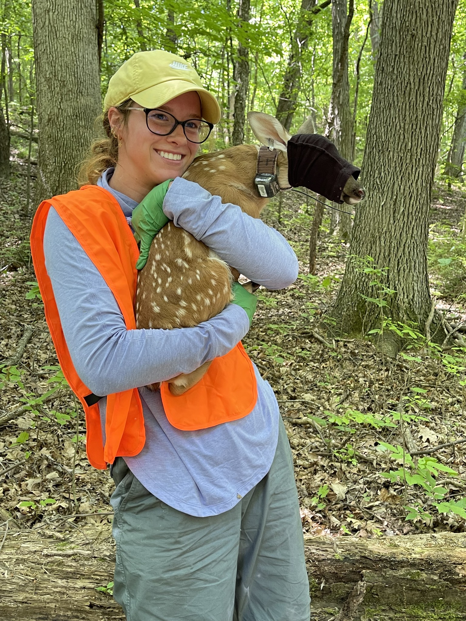 Makayla Deer Collar.jpg